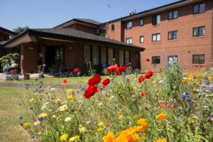 wildflowers at sheltered scheme
