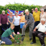 Tenants plant rose at Samford Court to celebrate Queen's Jubilee