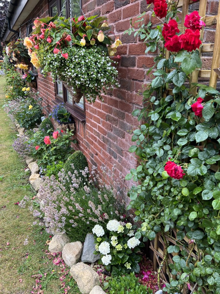 Flower bed and hanging basket with yellow, red and white flowers.