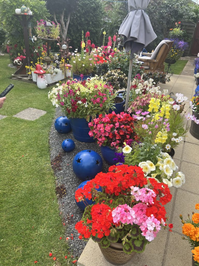 Patio area with large colourful flower display