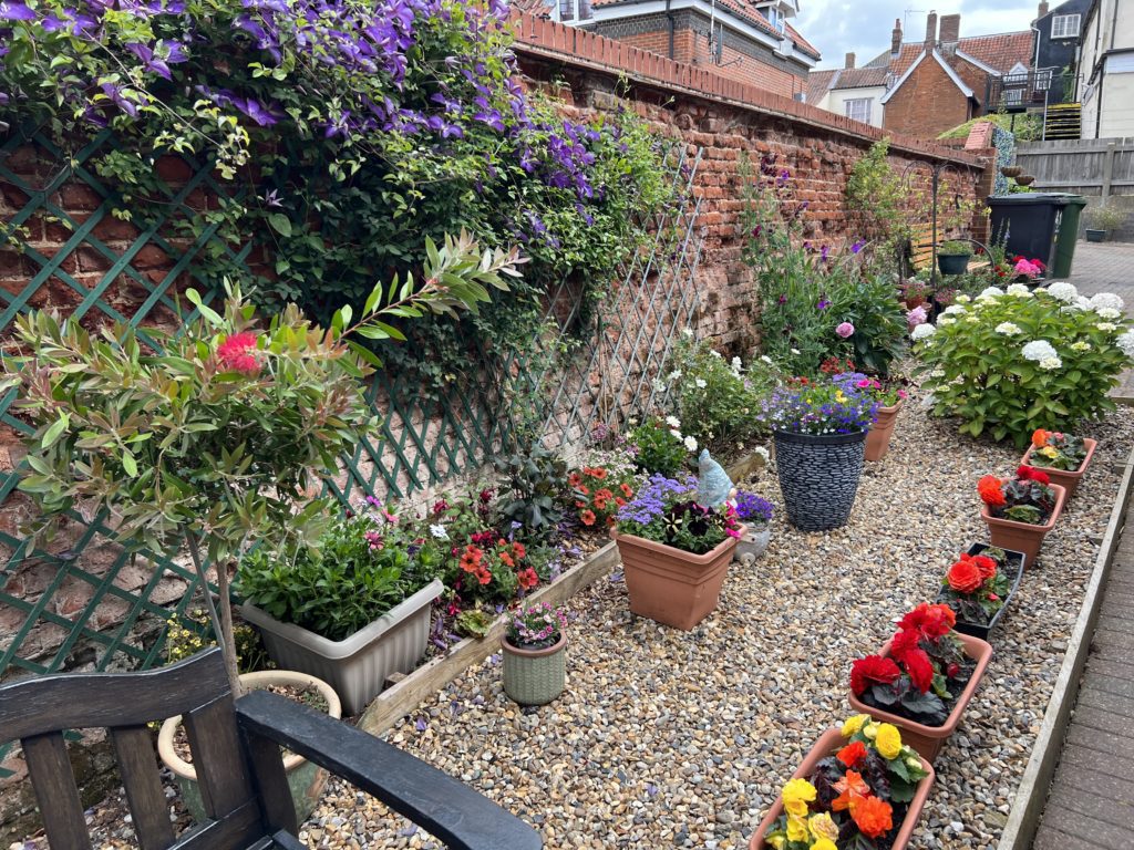 Gravelled courtyard garden with patio pots and climbing wall flowers