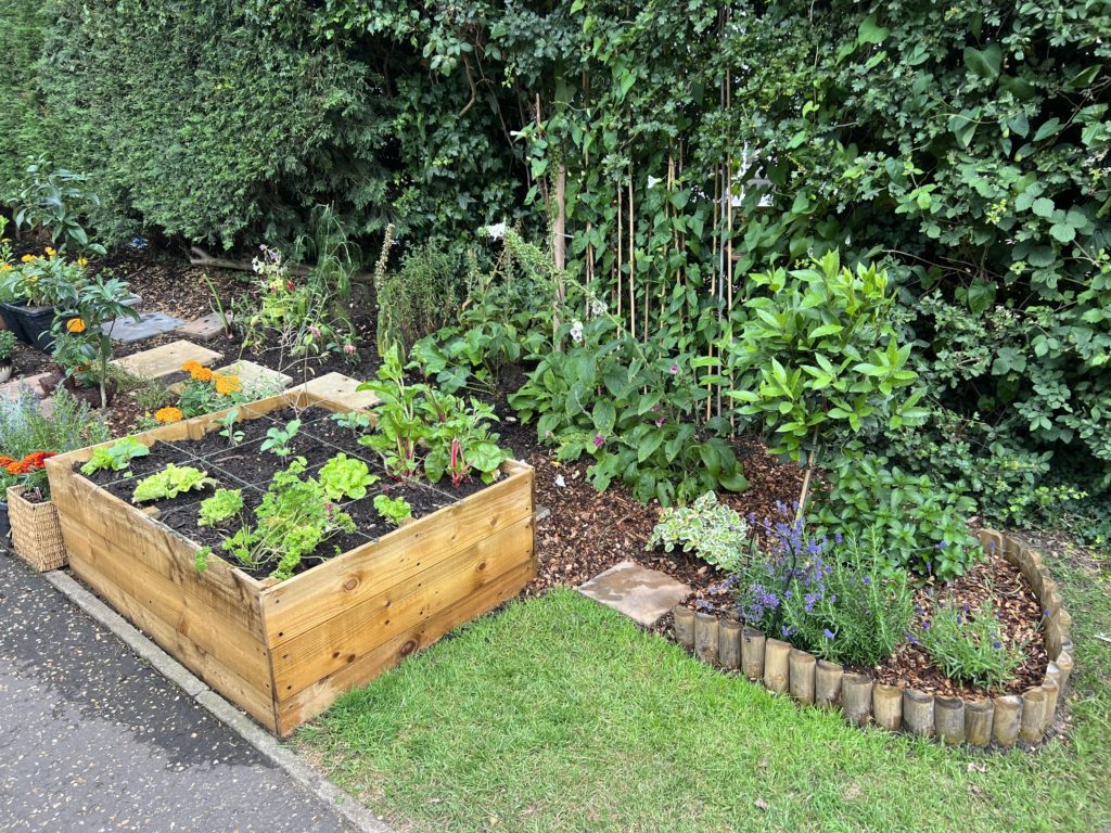 Allotment and herb communal garden area