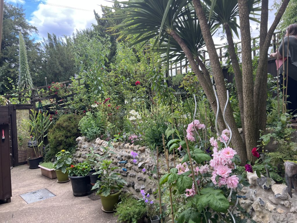 Large garden with raised beds and a variety of plants and flowers