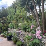 Large garden with raised beds and a variety of plants and flowers