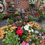 Lots of colourful patio pots filled with a variety of plants in yellow, purple, red and orange. Small bird bath in centre of patio with solar lights.
